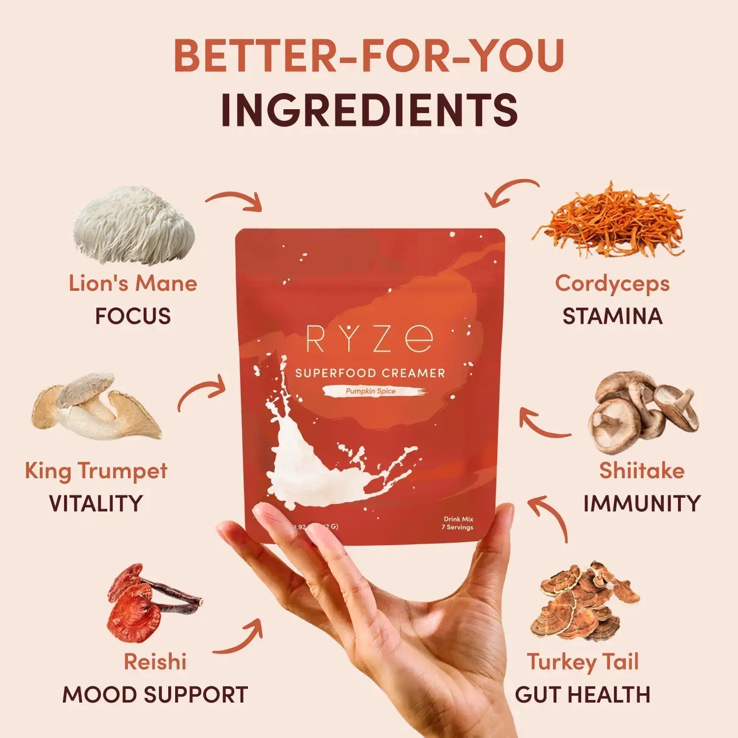 Pumpkin Spice Superfood Creamer Add-On (SPECIAL PRICING) - Classic Finish