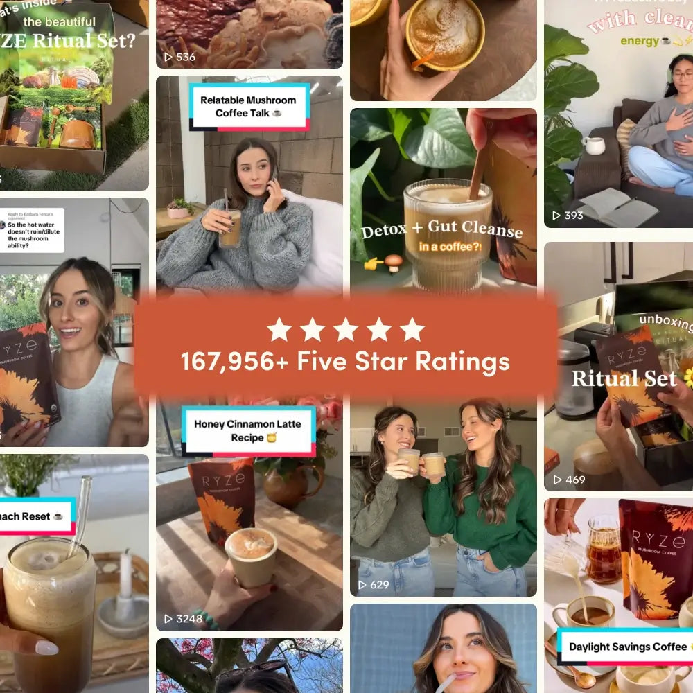 Chai Free Gift Bundle - Essential Set