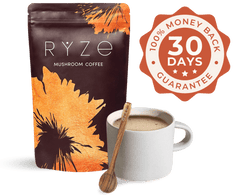 Chai Free Gift Bundle - Essential Set