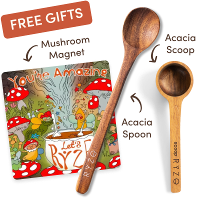Cocoa Free Gift Bundle - Essential Set
