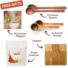 Chai Free Gift Bundle - Essential Set
