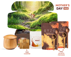 Chai Free Gift Bundle - Essential Set