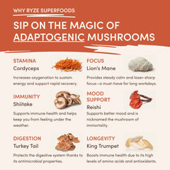 Superfood Creamer Add-on (SPECIAL PRICING) - Modern Ready