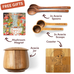 Chai Free Gift Bundle - Essential Set