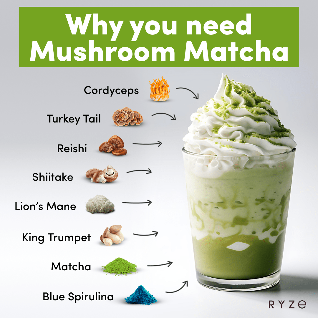 RYZE Organic Matcha Starter Kit (60 servings) - Travel Edit